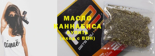 хмурый Аркадак