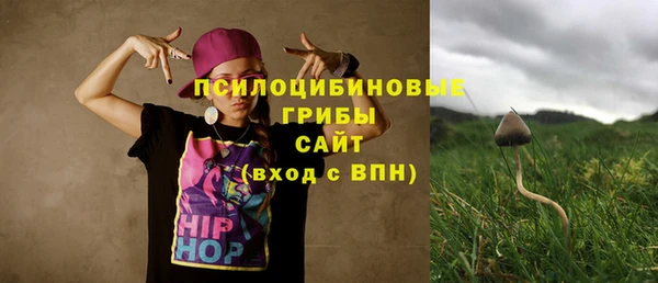 хмурый Аркадак