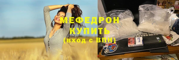 хмурый Аркадак