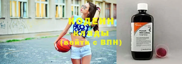 хмурый Аркадак