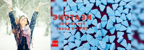шишки Сосновый Бор