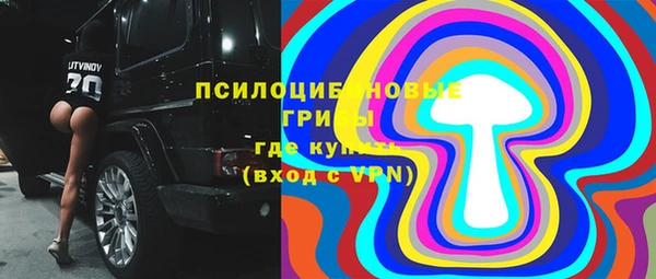 ПСИЛОЦИБИНОВЫЕ ГРИБЫ Армянск