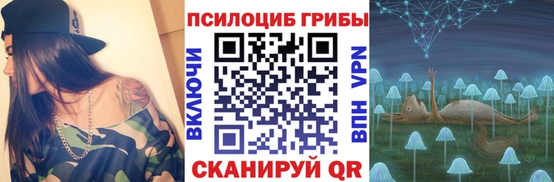 цена   Волхов  Псилоцибиновые грибы MAGIC MUSHROOMS 