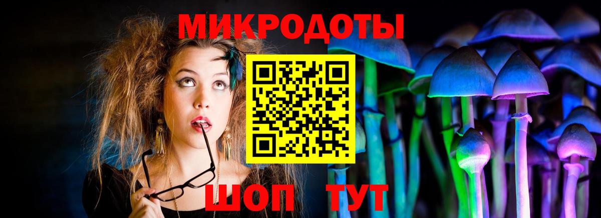 Волхов  Псилоцибиновые грибы Psilocybine cubensis  Вход с VPN 